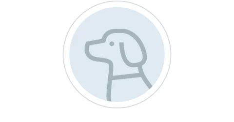 生きている間に、どこまでできるのか|catatsuy